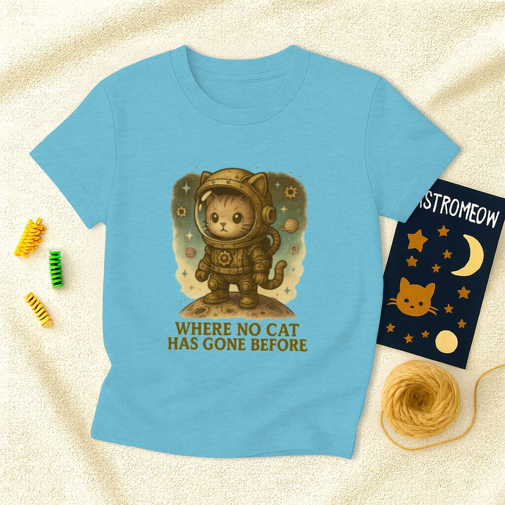 Steampunk Where No Cat Has Gone Before