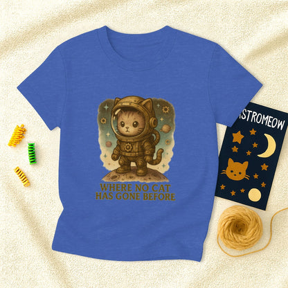 Steampunk Where No Cat Has Gone Before