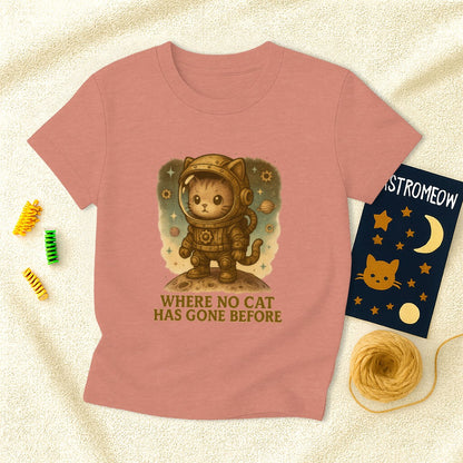 Steampunk Where No Cat Has Gone Before