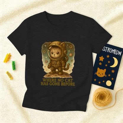 Steampunk Where No Cat Has Gone Before