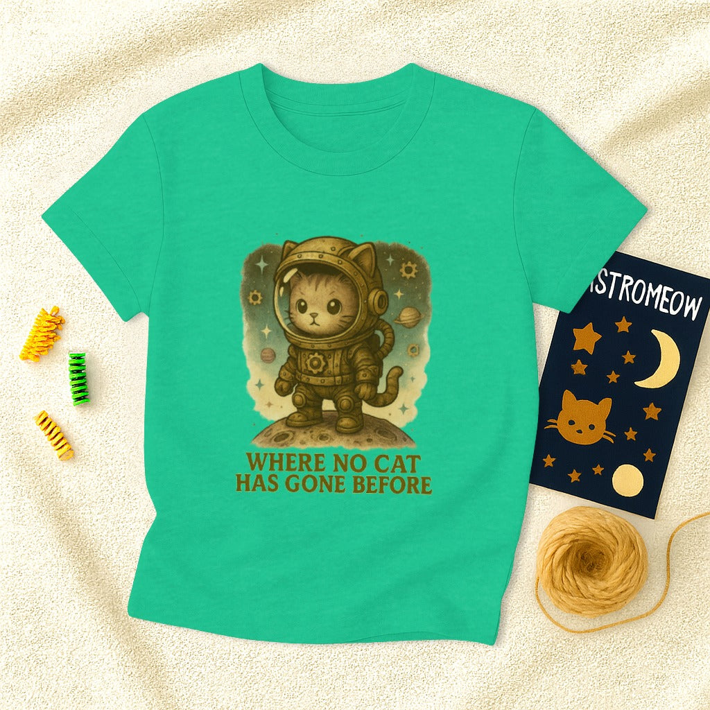 Steampunk Where No Cat Has Gone Before